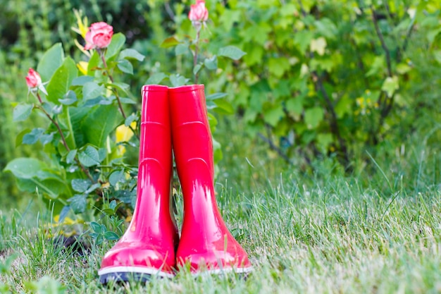 Bottes en caoutchouc de jardin rouge sur l'herbe verte et rosier flou sur l'arrière-plan