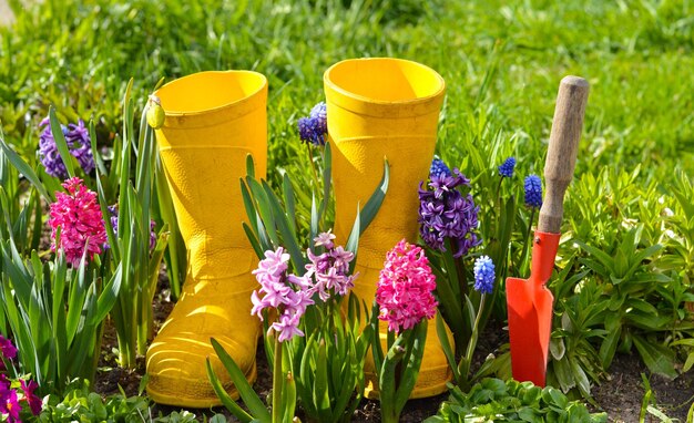 Les bottes en caoutchouc jaune du jardinier se tiennent dans un parterre de fleurs parmi les jacinthes en fleurs