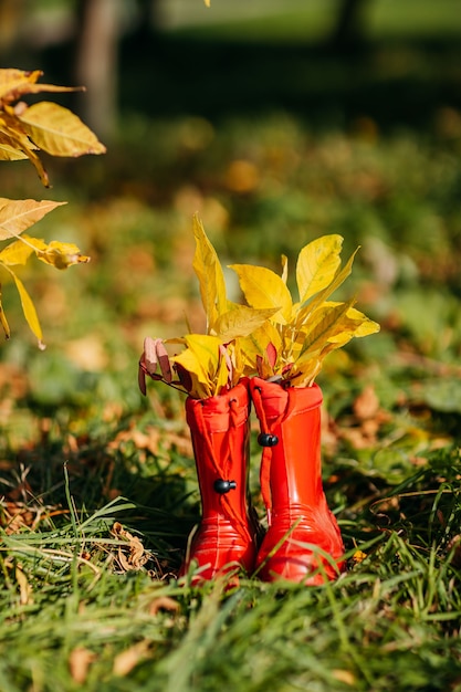 Photo bottes en caoutchouc pour enfants rouges avec des feuilles jaunes à l'intérieur