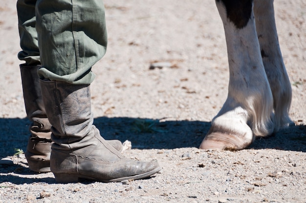 bottes et jambes