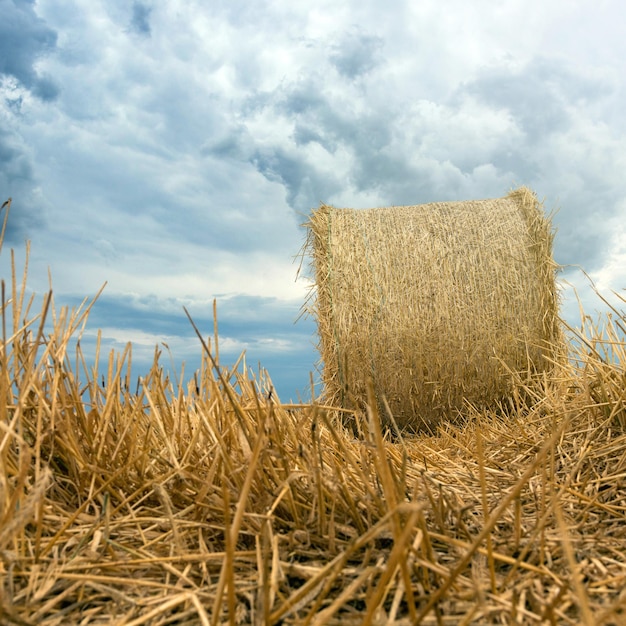 Bottes de paille sur les terres agricoles Nuages d'orage.