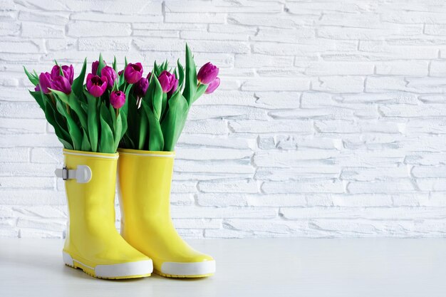 Bottes de pluie jaunes et tulipes violettes sur mur de briques blanches Fond de printemps