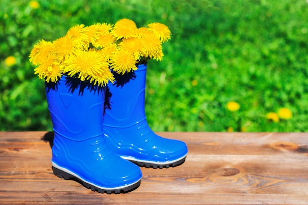 Bottes de pluie pour enfants bleus avec des pissenlits jaunes à l'intérieur sur planche de bois et arrière-plan flou de jardin