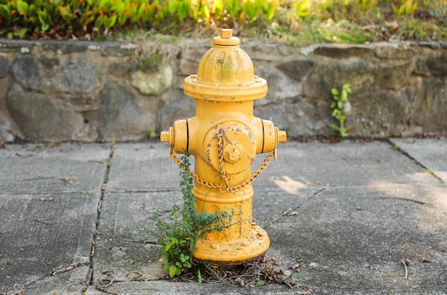 La bouche d'incendie se dresse sur un coin de rue ensoleillé, prête à protéger et à symboliser la sécurité en milieu urbain