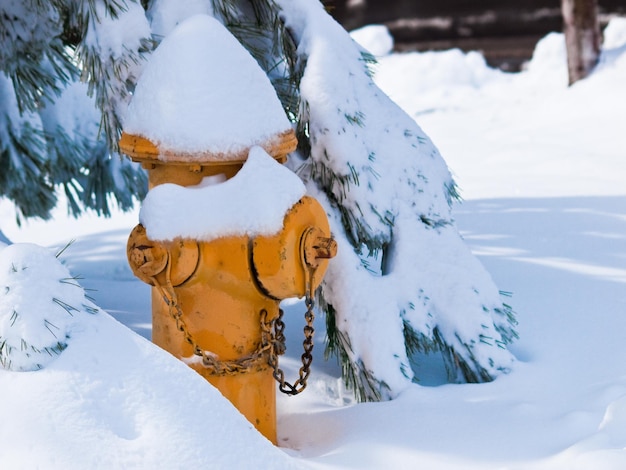 Bouche d'incendie sous la neige.