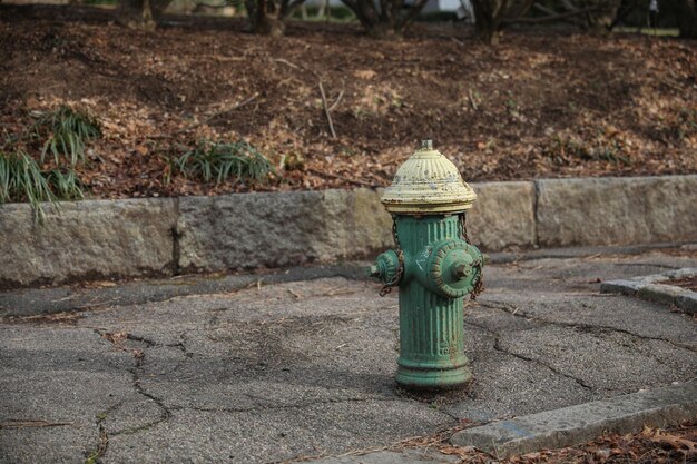 Une bouche d'incendie verte sur un trottoir avec des feuilles dessus.