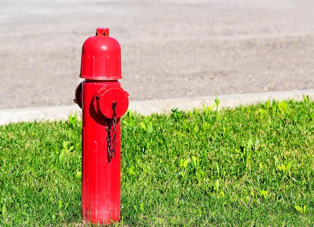 Bouche rouge sur l'herbe