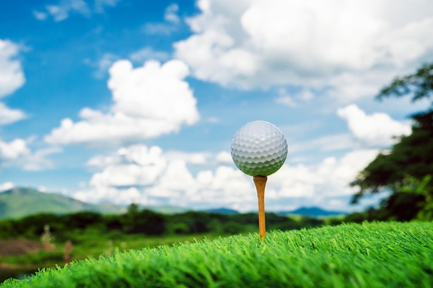 Bouchent la balle de golf avec le fond de la nature