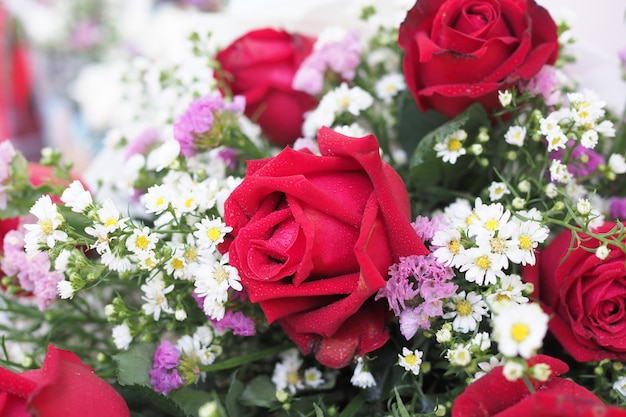Bouchent belle rose rouge fraîche en arrière-plan nature bouquet de fleurs