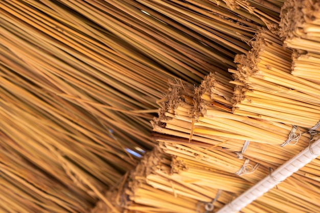 Bouchent les détails du toit de paille jaune.