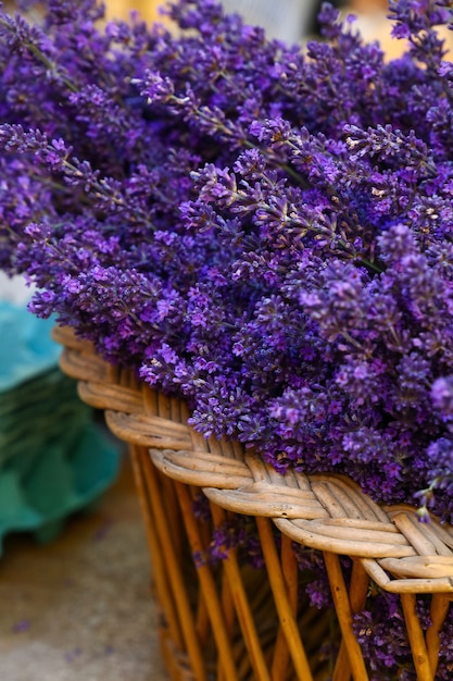 Bouchent les fleurs de lavande pourpre fraîches dans un panier en bois sur l'affichage au détail en Provence, France