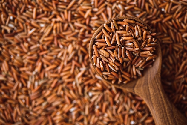 Bouchent les graines de riz rouge foncé