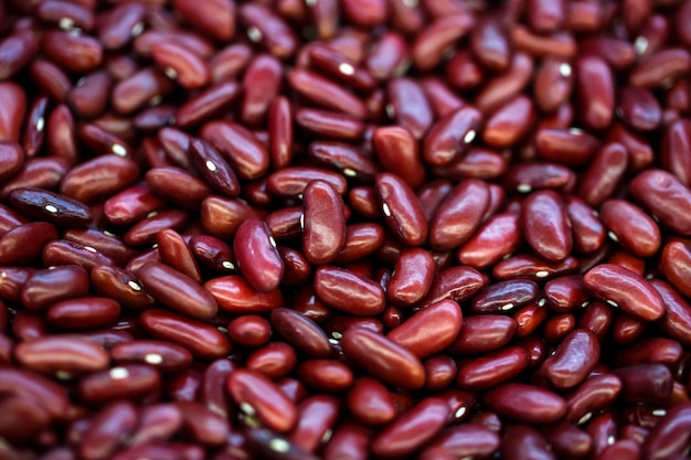 Bouchent les haricots rouges