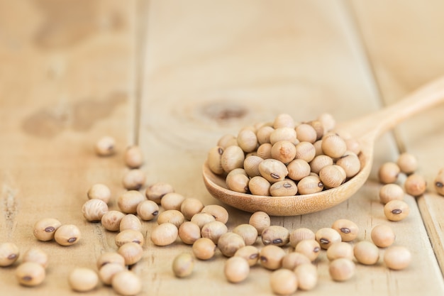 Bouchent les haricots de soja dans la cuillère sur le bureau en bois