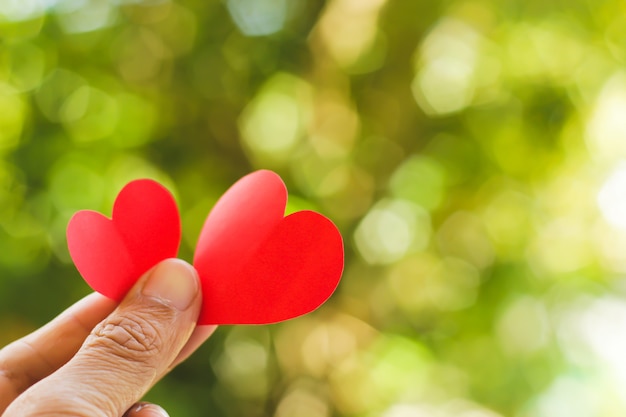 Photo bouchent la main des enfants tenant un mini coeur sur fond vert.