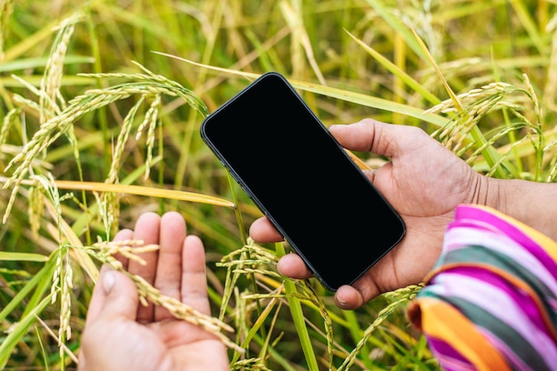 Bouchent les mains du jeune agriculteur asiatique avec Smartphone