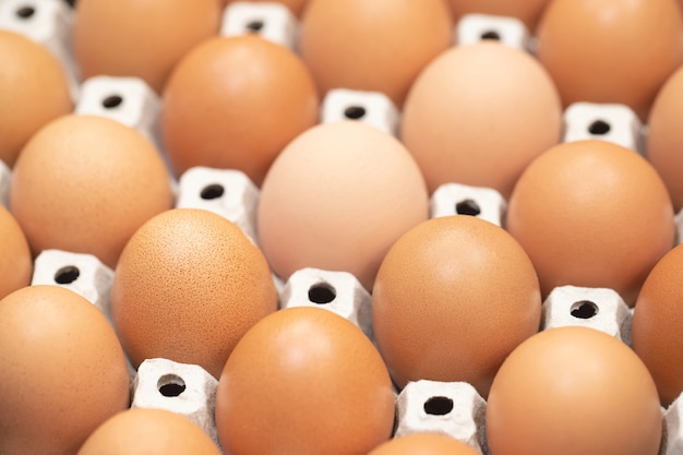 Bouchent les œufs entiers dans la boîte. Oeuf de poule nombreux. mise au point douce