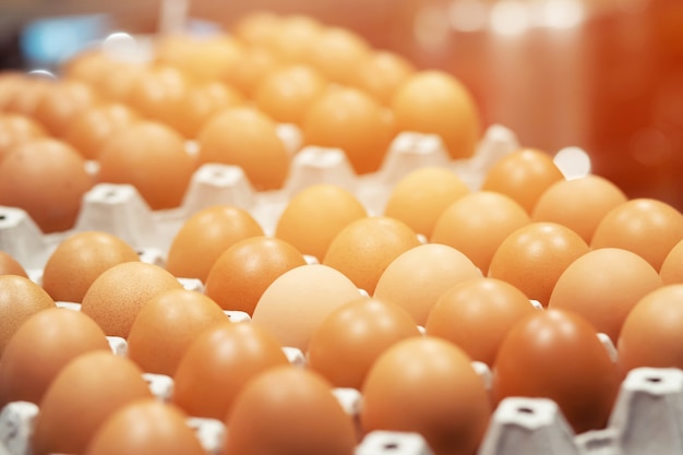 Bouchent les œufs entiers dans la boîte. Oeuf de poule nombreux. mise au point douce