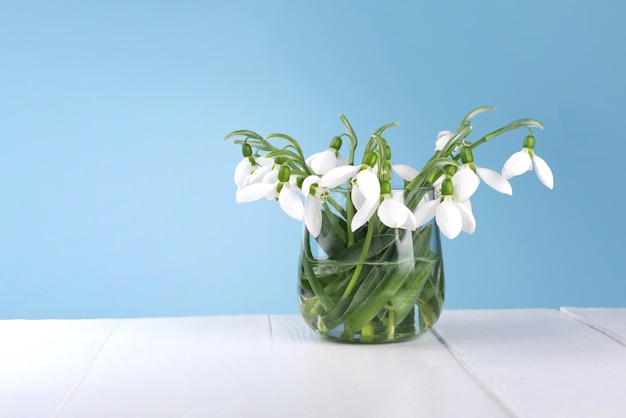 Bouchent les perce-neige frais dans un vase en verre sur une table en bois. copie espace