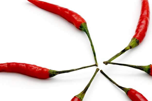 Bouchent le piment rouge chaud isolé sur un blanc