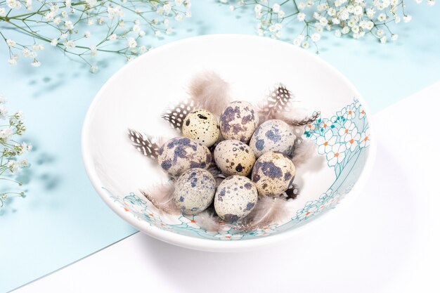 Bouchent la plaque décorée de fleurs de printemps avec des oeufs de caille et des plumes sur fond bleu clair blanc et pastel avec des fleurs blanches.