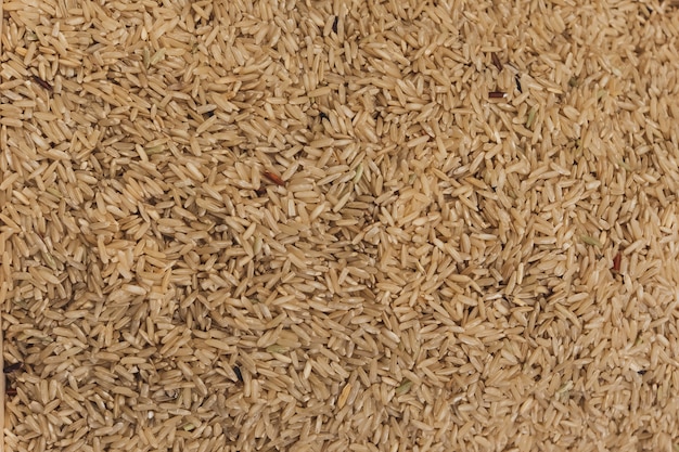 Bouchent le riz cru sur le marché