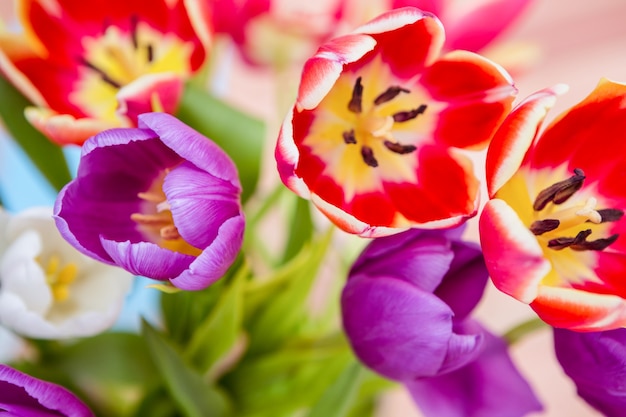 Bouchent la vue des fleurs