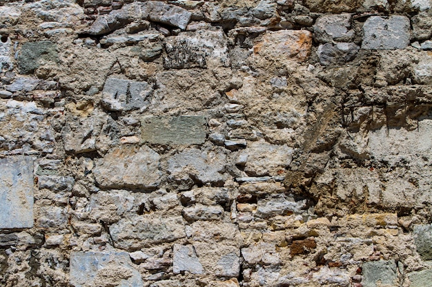 Bouchent la vue sur le fond de mur de Pierre