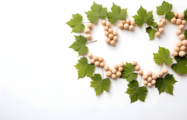 Bouchons de vin avec feuilles de vigne sur fond blanc