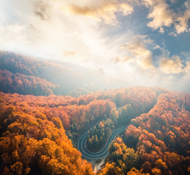 Boucle de l'autoroute Transfagarasan entourée de forêt