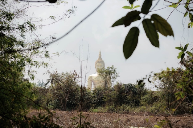 Bouddha sur un champ rural.