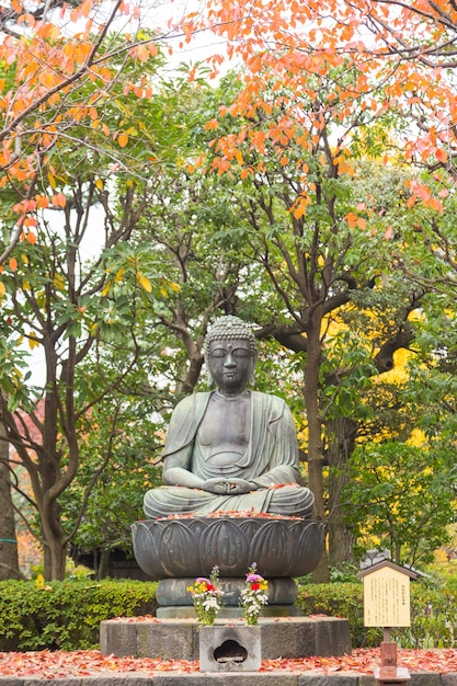 Photo bouddha dans le parc