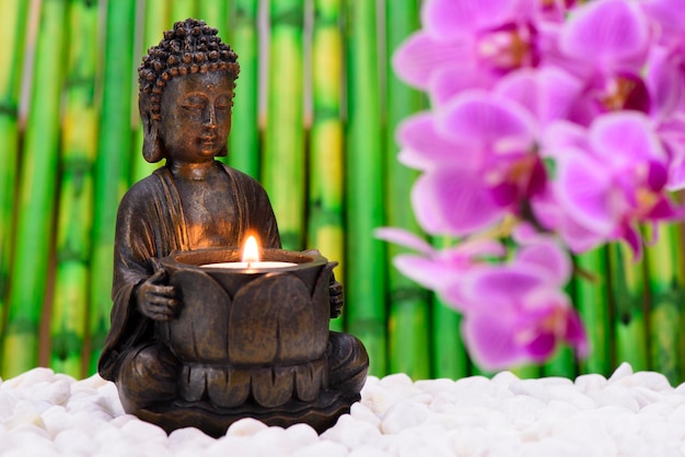 Bouddha est assis dans le jardin zen avec une fleur d'orchidée