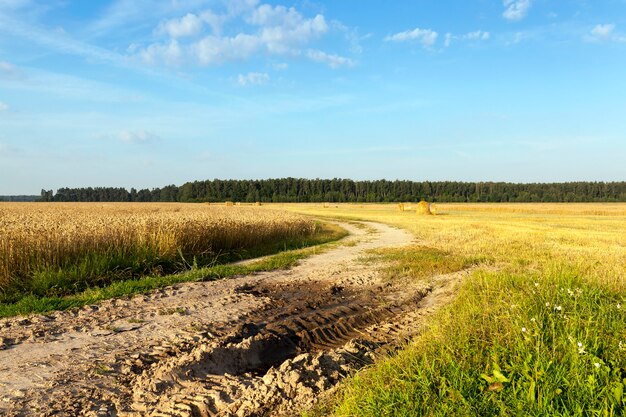 Boue et flaques d'eau sur une route à travers un champ agricole