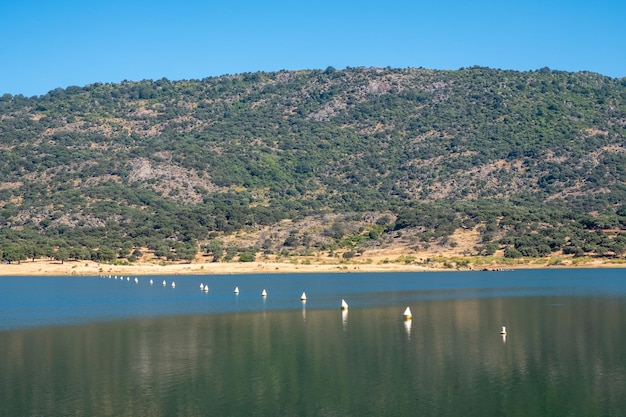 Bouées blanches sur le lac bleu