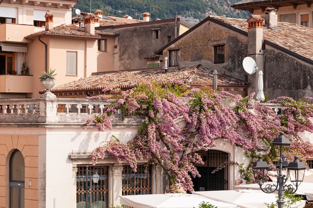 Bougainvilliers en fleurs s'enroule autour des murs de la maison