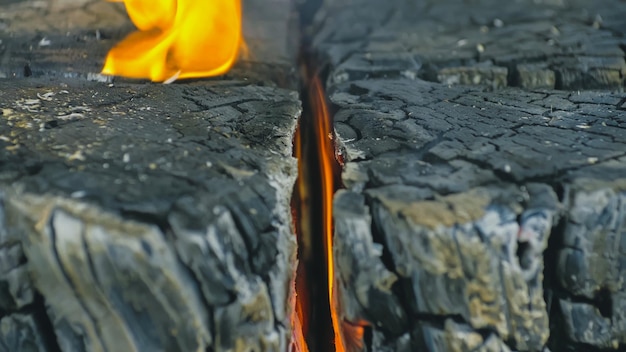 Bougie bûche suédoise ou finlandaise Feu brûlant depuis l'intérieur du bois