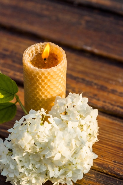 Une bougie de cire d'abeille se dresse sur un fond en bois sombre avec une fleur d'hortensia.