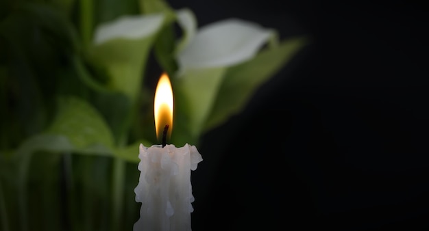 Bougie de cire brûlante en gros plan et lys calla blanc