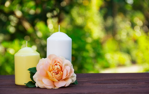 Bougies et rose parfumée sur fond flou vert