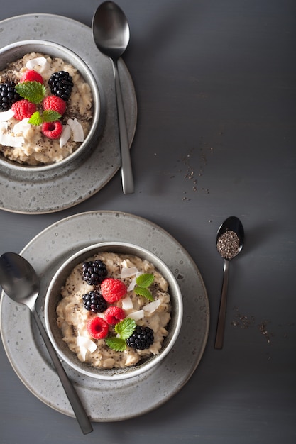 Bouillie d'avoine à la framboise et à la mûre