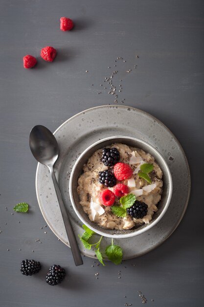 Bouillie d'avoine à la framboise et à la mûre