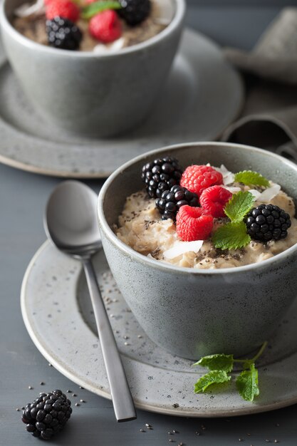 Bouillie d'avoine à la framboise et à la mûre