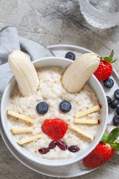 Bouillie de lapin aux fruits dans un bol