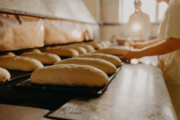 Boulangerie de pain Usine alimentaire Pain de pain blanc