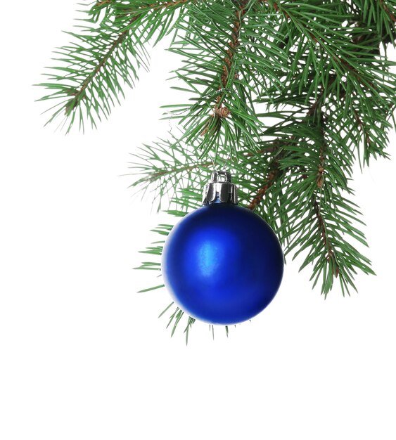 Boule bleue sur une branche d'arbre de Noël, isolée sur blanc