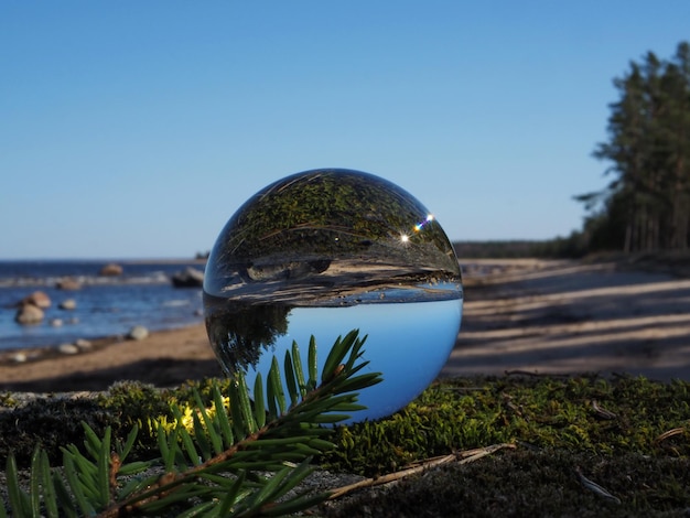 Boule de cristal au premier plan et la plage roche la mer et la forêt de pins à l'horizon