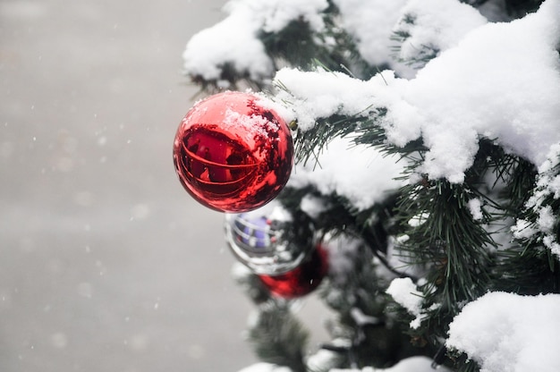 Boule dans la neige sur le sapin de Noël