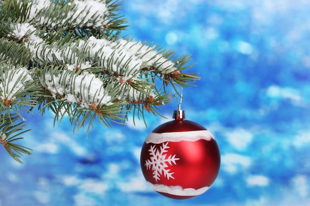 Boule de Noël sur l'arbre sur bleu