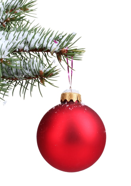 Boule de Noël sur l'arbre isolé sur blanc